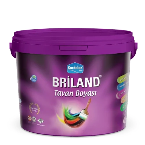 BRILAND TAVAN BOYASI BEYAZ 3,5KG
